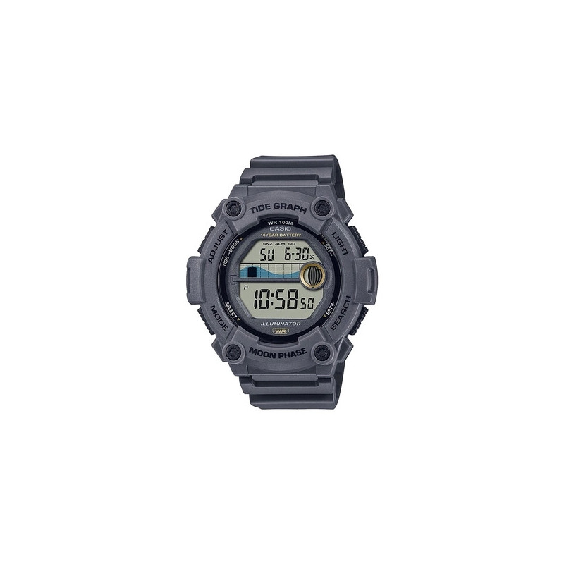 Montre CASIO Homme WS-1300H-8AVEF